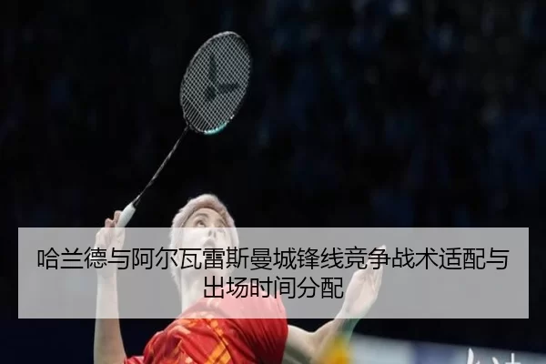 ha-lan-de-yu-a-er-wa-lei-si-man-cheng-feng-xian-jing-zheng-zhan-shu-shi-pei-yu-chu-chang-shi-jian-fen-pei-1-937.jpg